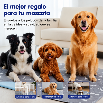 Alfombra absorbente PetDry